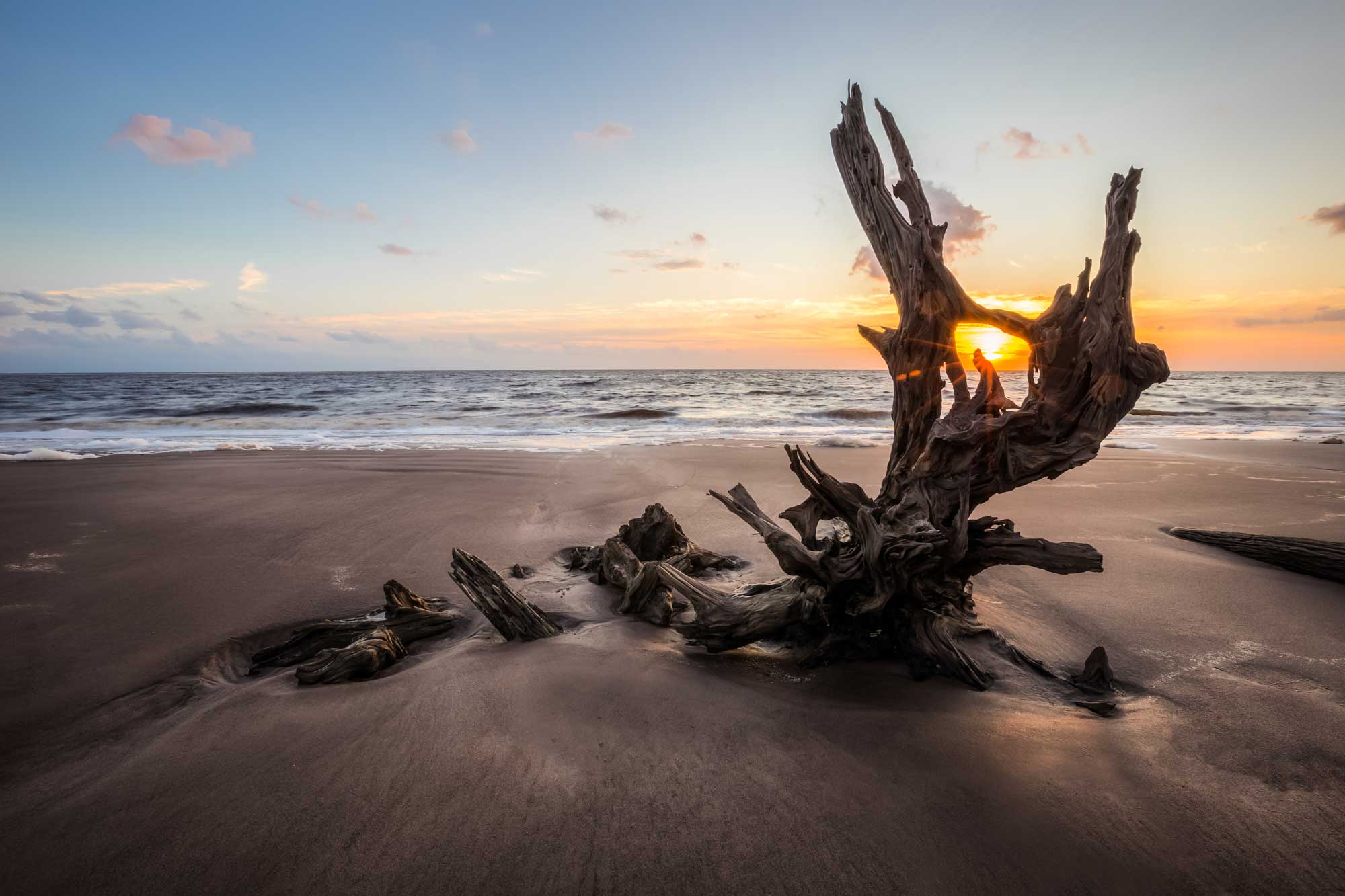 log on a shore